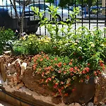 Dimitra Apartament