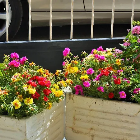 Dimitra Apartament Paralia Dionisiou