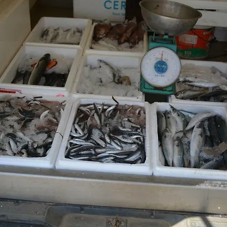 Dimitra Apartament *