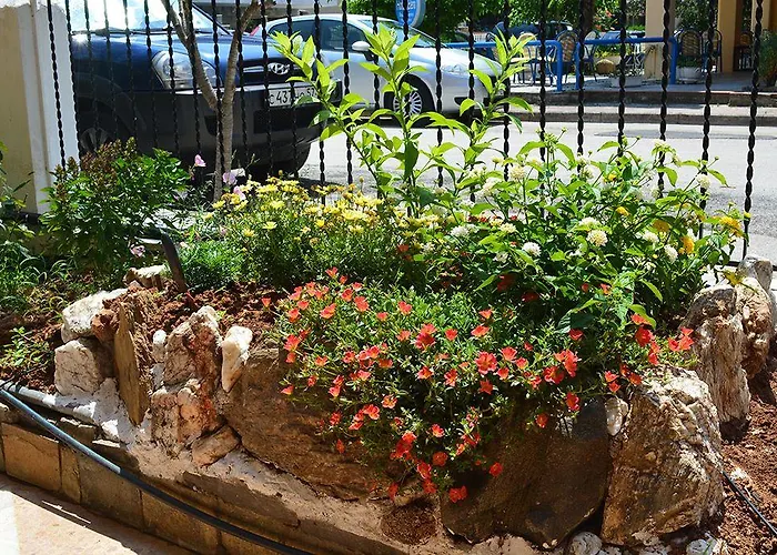 Dimitra Апартаменты