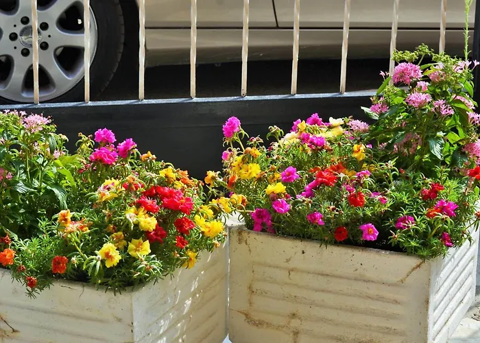 Dimitra Апартаменты Паралия-Дионисиу