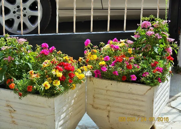 Dimitra * Паралия-Дионисиу