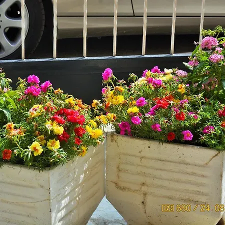 Dimitra * Dioniszíu-part